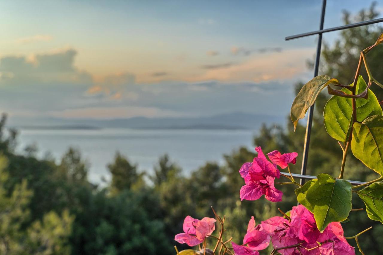 Holiday House Sunset Haven Estate Sutivan Dış mekan fotoğraf